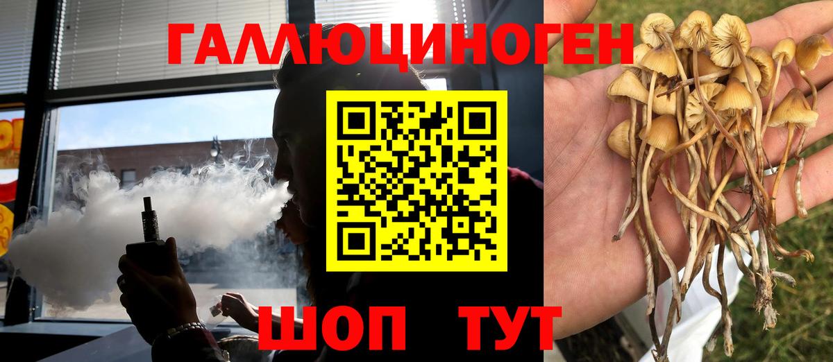 дарнет шоп  Галлюциногенные грибы ЛСД  Галлюциногенные грибы Magic Shrooms  Вход с VPN  Ковров 
